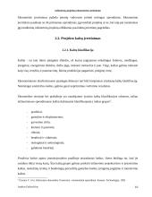 Inžinerinių projektų ekonominis vertinimas 10 puslapis