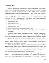 Kauno autobusai veiklos analizė 18 puslapis