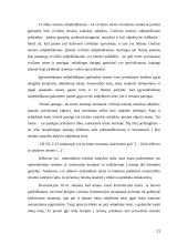 Kavinės "Rokoko" verslo planas  11 puslapis