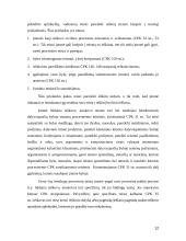 Kavinės "Rokoko" verslo planas  12 puslapis