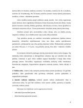 Kavinės "Rokoko" verslo planas  4 puslapis