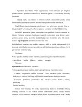 Kavinės "Rokoko" verslo planas  7 puslapis