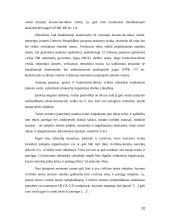 Kavinės "Rokoko" verslo planas  10 puslapis