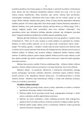 Komercinės įmonės veikla 11 puslapis