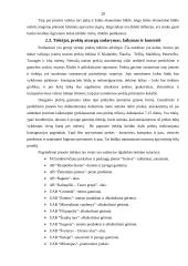 Komercinės įmonės veikla 20 puslapis