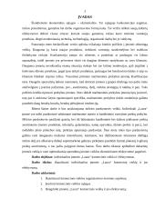 Komercinės įmonės veikla 3 puslapis