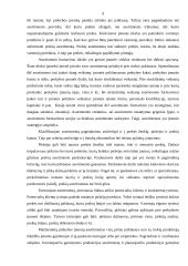 Komercinės įmonės veikla 9 puslapis