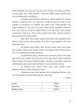 Verslo plano sudarymas įmonei “Auto padangos” 11 puslapis