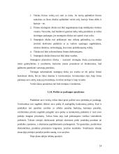 Verslo plano sudarymas įmonei “Auto padangos” 14 puslapis