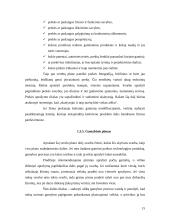 Verslo plano sudarymas įmonei “Auto padangos” 15 puslapis