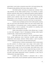 Verslo plano sudarymas įmonei “Auto padangos” 16 puslapis