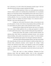 Verslo plano sudarymas įmonei “Auto padangos” 17 puslapis