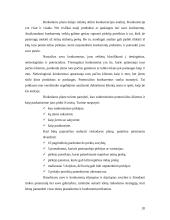 Verslo plano sudarymas įmonei “Auto padangos” 20 puslapis