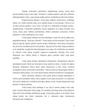 Verslo plano sudarymas įmonei “Auto padangos” 7 puslapis