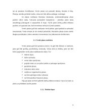 Verslo plano sudarymas įmonei “Auto padangos” 9 puslapis