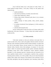 Verslo plano sudarymas įmonei “Auto padangos” 10 puslapis