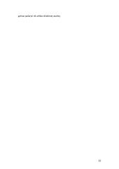 Pelno - nuostolio ataskaita 12 puslapis