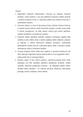 Pelno - nuostolio ataskaita 13 puslapis