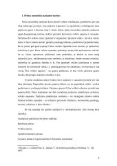 Pelno - nuostolio ataskaita 3 puslapis