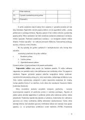 Pelno - nuostolio ataskaita 5 puslapis