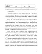 Abejotinų ir beviltiškų skolų apskaita  16 puslapis