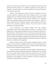 Abejotinų ir beviltiškų skolų apskaita  20 puslapis