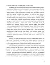Abejotinų ir beviltiškų skolų apskaita  6 puslapis