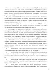 Elektoninė komercija ir nekilnojamas turtas 8 puslapis