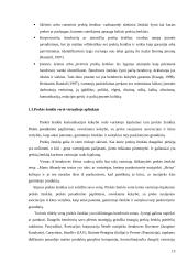 Pekių ženklų suasmeninimas virtualioje aplinkoje 13 puslapis