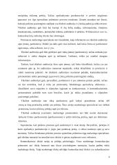 Pekių ženklų suasmeninimas virtualioje aplinkoje 6 puslapis