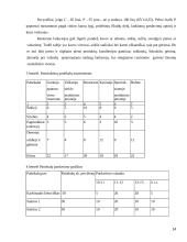 Restorano veiklos analizė 14 puslapis