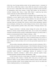 Socialiai atsakingos įmonės 11 puslapis