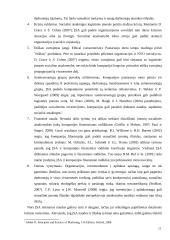 Socialiai atsakingos įmonės 13 puslapis