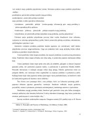 Socialiai atsakingos įmonės 10 puslapis