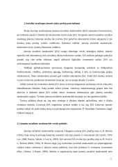 Socialiai atsakingos įmonės samprata 11 puslapis