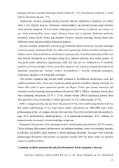 Socialiai atsakingos įmonės samprata 18 puslapis