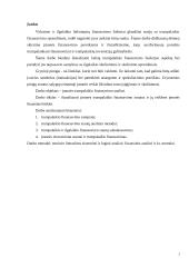 Trumpalaikio finansavimo analizė 2 puslapis