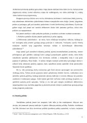 Trumpalaikio finansavimo analizė 15 puslapis