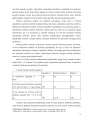 Trumpalaikio finansavimo analizė 16 puslapis