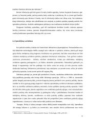 Trumpalaikio finansavimo analizė 18 puslapis