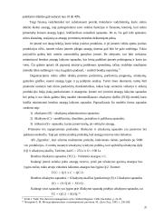 Trumpalaikio finansavimo analizė 20 puslapis