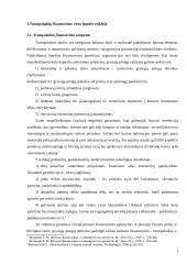 Trumpalaikio finansavimo analizė 3 puslapis