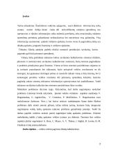 ABC sistema kaštų ekonomikoje 2 puslapis