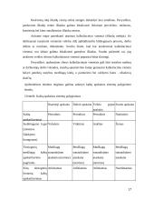 ABC sistema kaštų ekonomikoje 17 puslapis