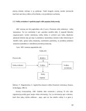 ABC sistema kaštų ekonomikoje 20 puslapis