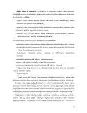 ABC sistema kaštų ekonomikoje 3 puslapis