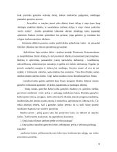 ABC sistema kaštų ekonomikoje 6 puslapis