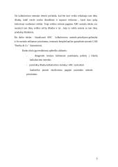 Kaštų apskaitos sistemos. Problemos analizė 2 puslapis