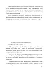 Kaštų apskaitos sistemos. Problemos analizė 11 puslapis