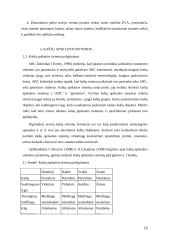 Kaštų apskaitos sistemos. Problemos analizė 12 puslapis